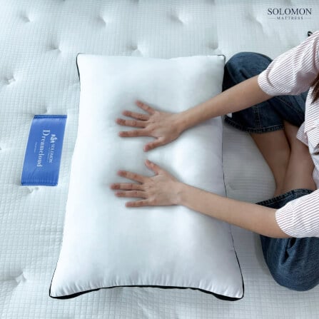 หมอนหนุนสุขภาพ SIZE L SOLOMON ใย 2,500 คุณภาพพรีเมียม รุ่น SILENT_7